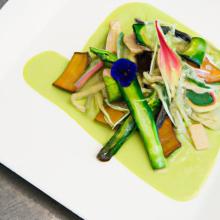 Adaptogens Unveiled: Nature’s Secret to Stress Resilience